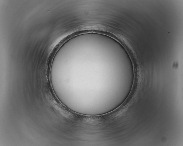 X0000111620830200907311200