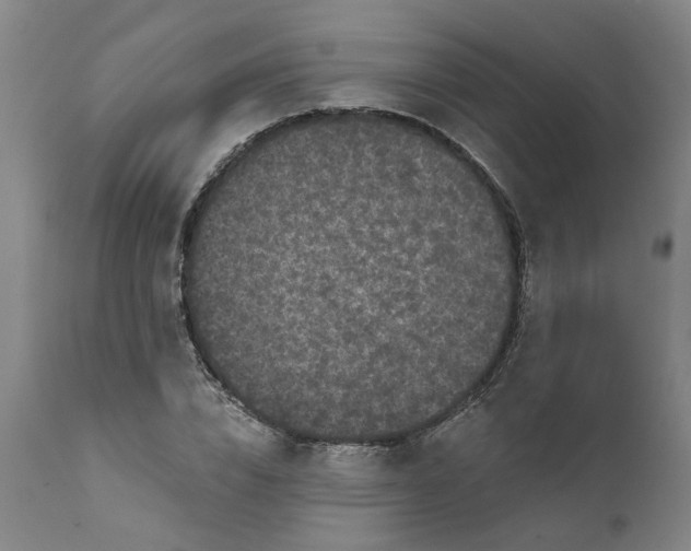 X0000111620832200907311200