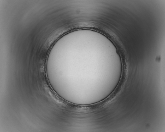 X0000111620833200907311200