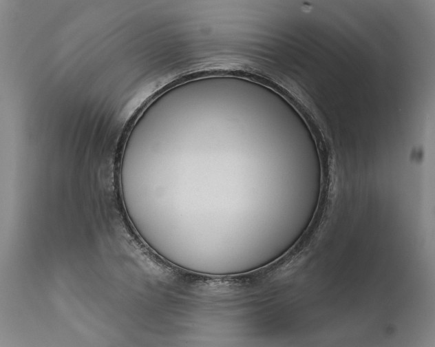 X0000111620834200907311200