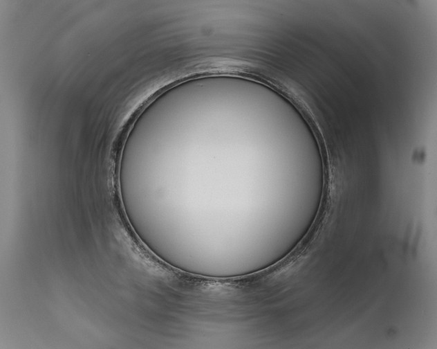 X0000111620835200907311200