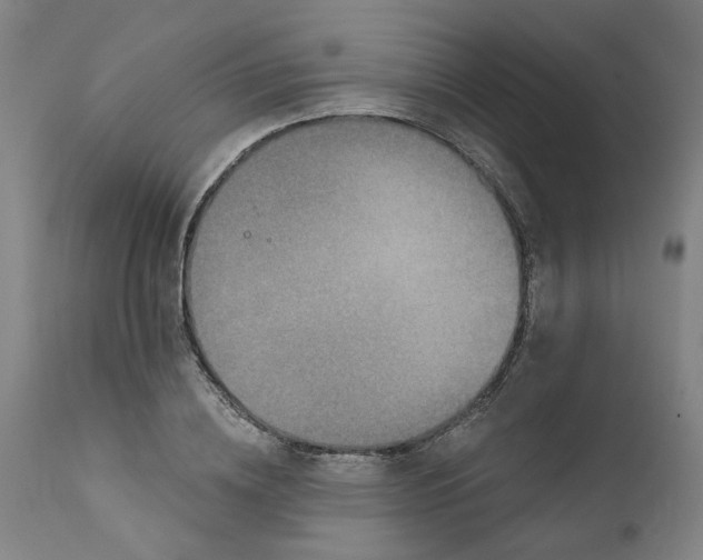 X0000111620836200907311200