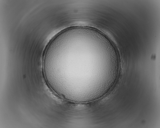 X0000111620839200907311200