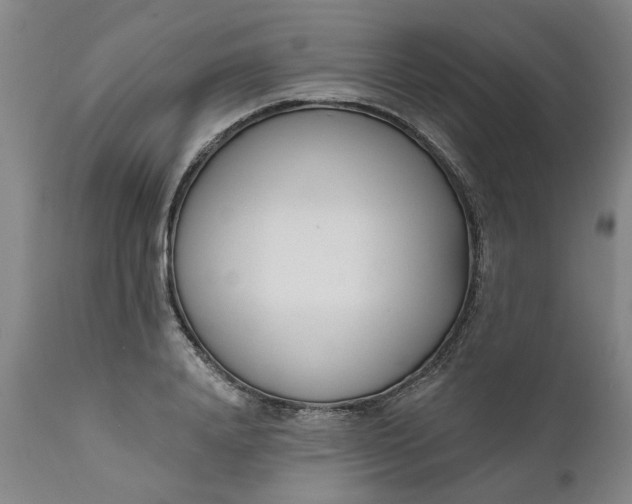 X0000111620840200907311200