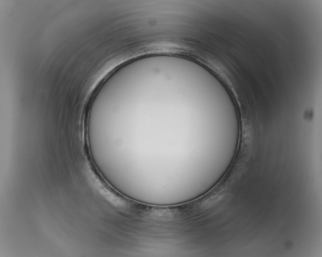 X0000111620843200907311200