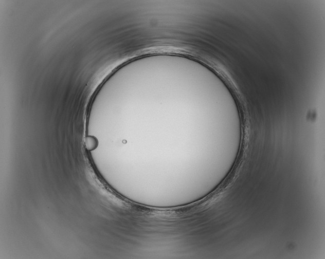 X0000111620844200907311200