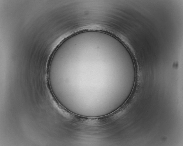 X0000111620845200907311200