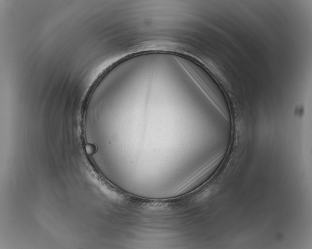 X0000111620846200907311200