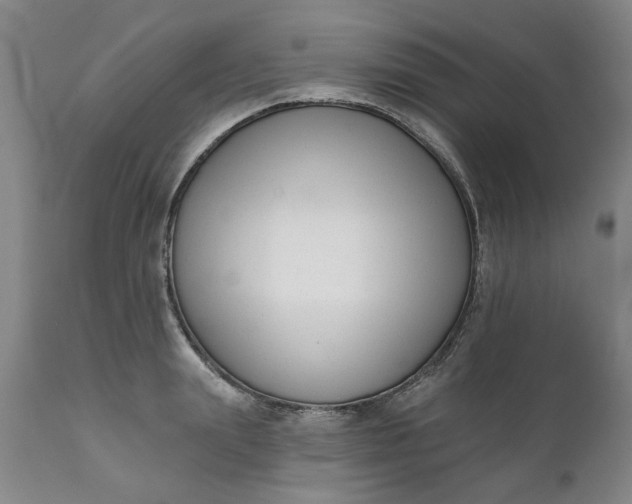 X0000111620847200907311200