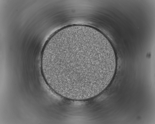 X0000111620848200907311200