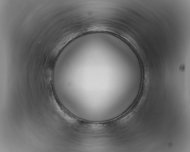 X0000111620849200907311200