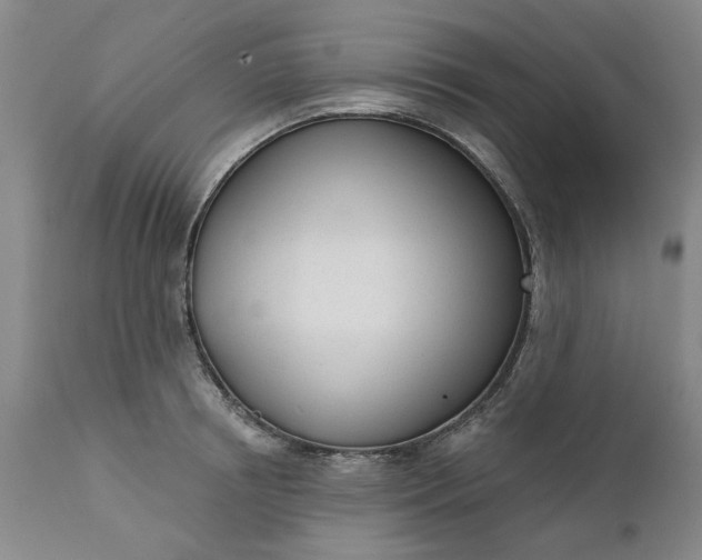 X0000111620850200907311200