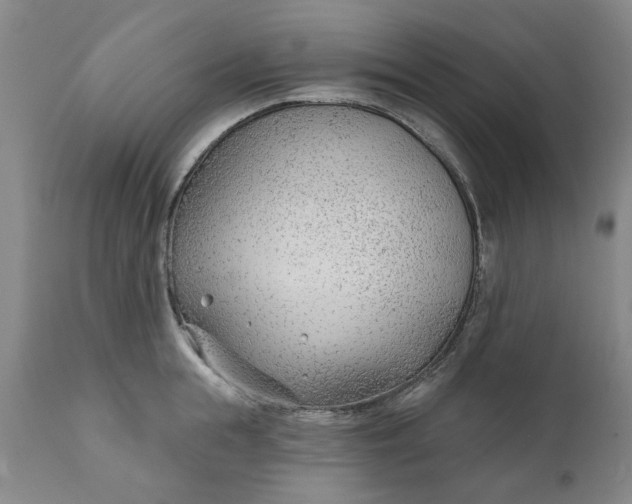 X0000111620855200907311201