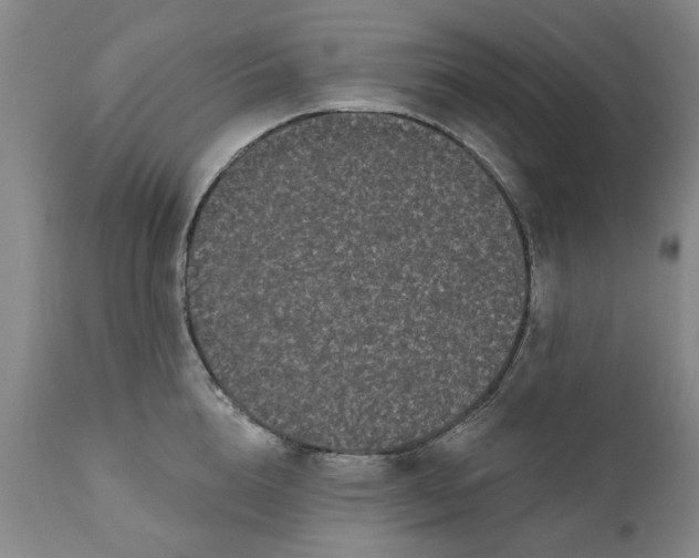 X0000111620856200907311201