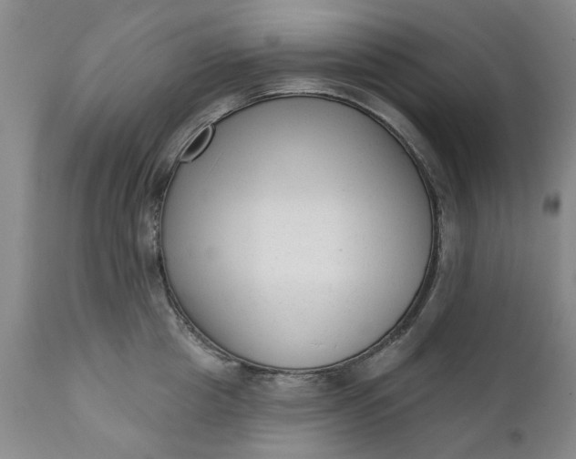 X0000111620857200907311201