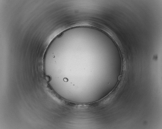 X0000111620858200907311201