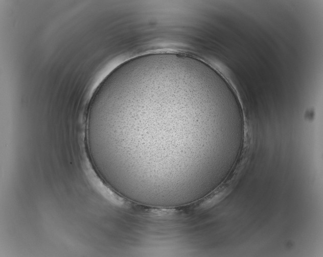 X0000111620859200907311201