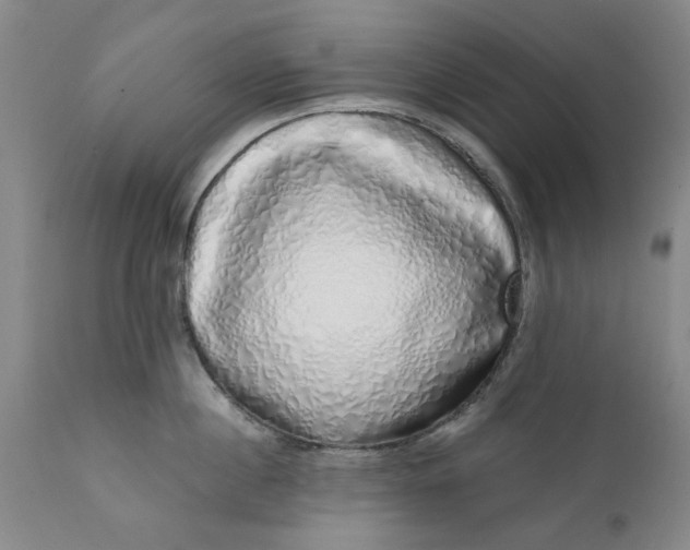 X0000111620860200907311201