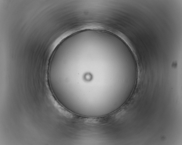 X0000111620861200907311201