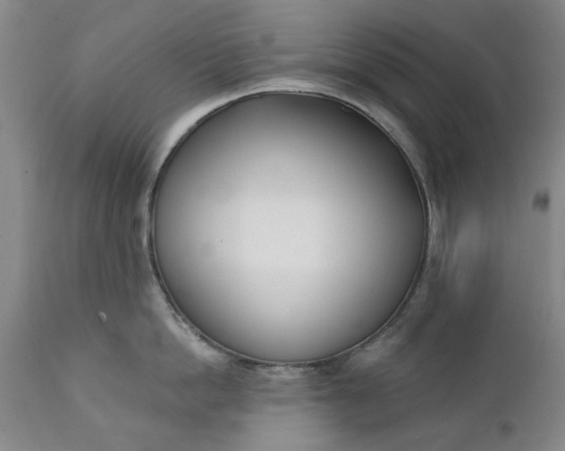 X0000111620862200907311201