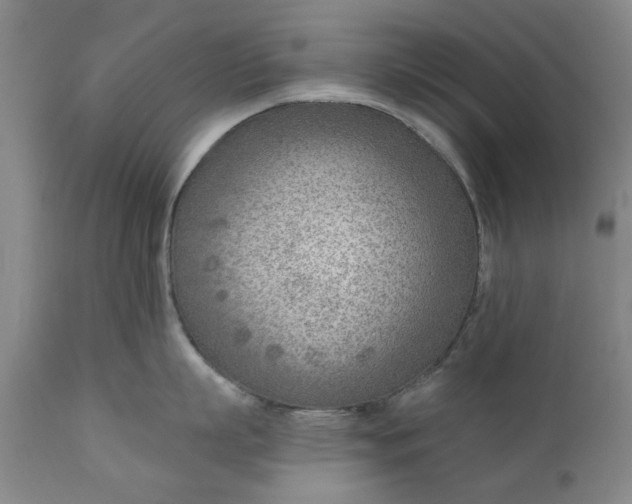 X0000111620863200907311201