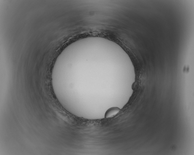 X0000111620865200907311200