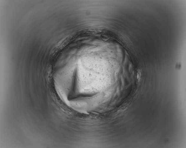 X0000111620867200907311200