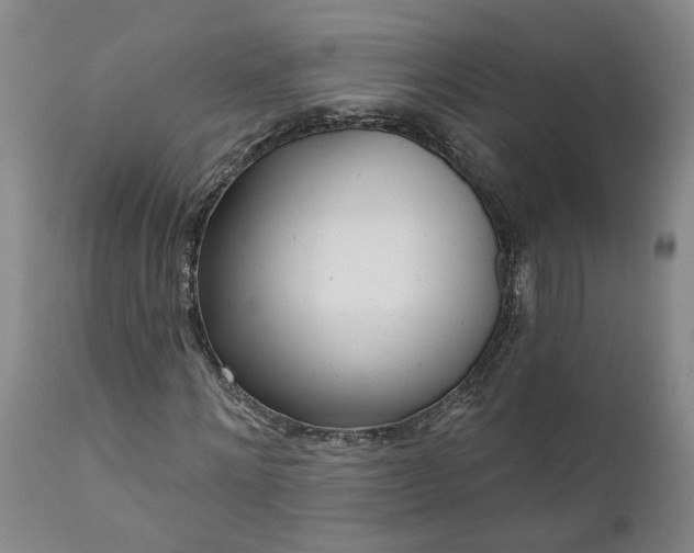 X0000111620868200907311200