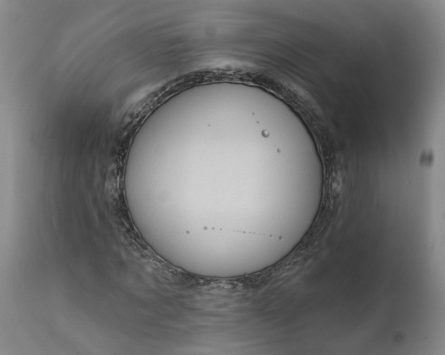 X0000111620869200907311200