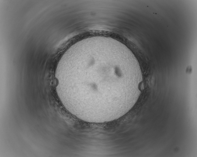 X0000111620870200907311200