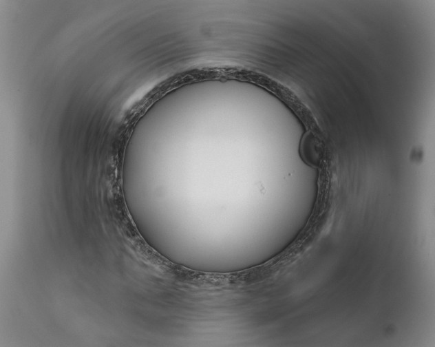 X0000111620871200907311200