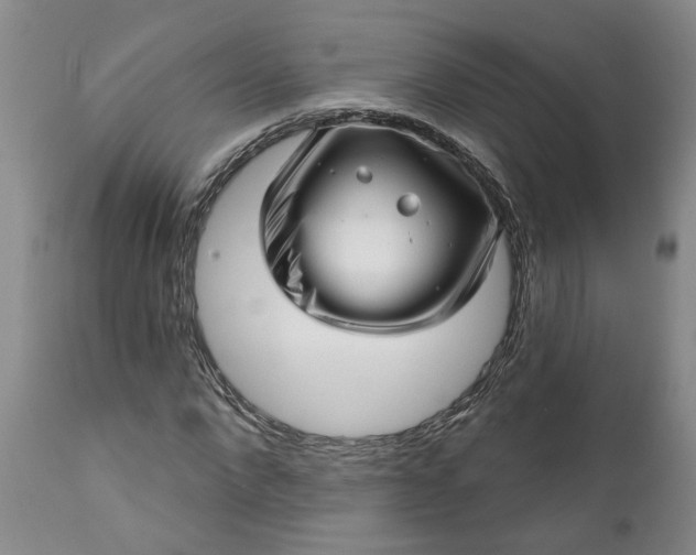 X0000111620872200907311200