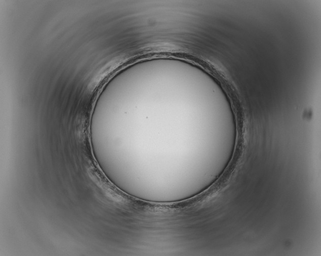 X0000111620873200907311200