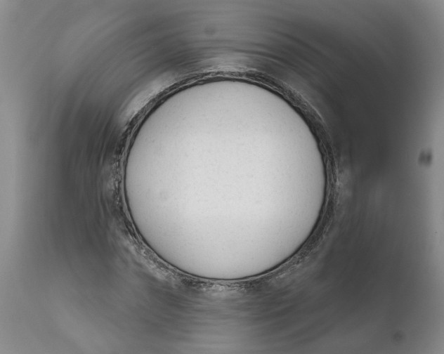 X0000111620874200907311200