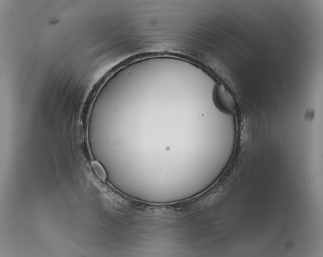 X0000111620876200907311200