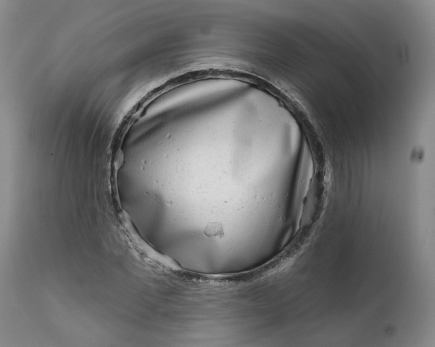 X0000111620877200907311200