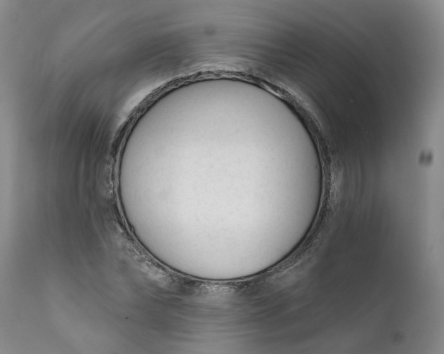 X0000111620878200907311200