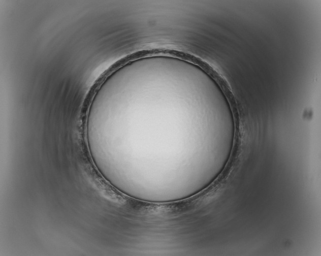 X0000111620879200907311200