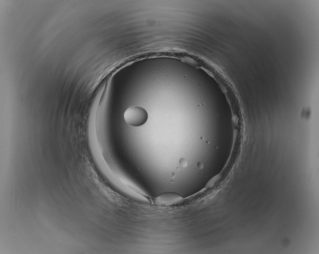 X0000111620881200907311200