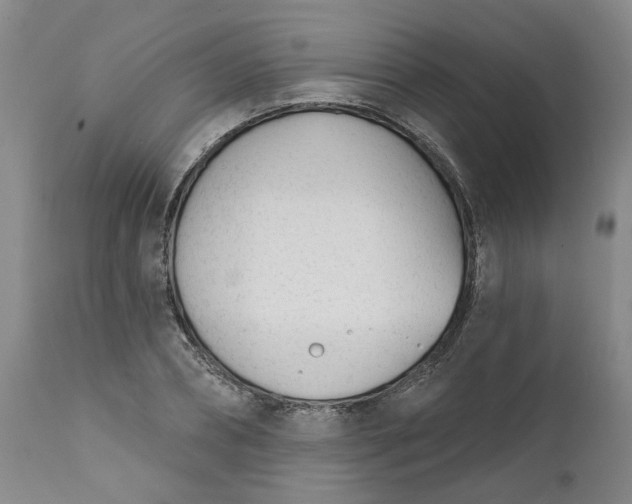 X0000111620882200907311200