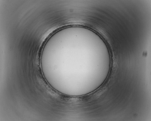 X0000111620883200907311200