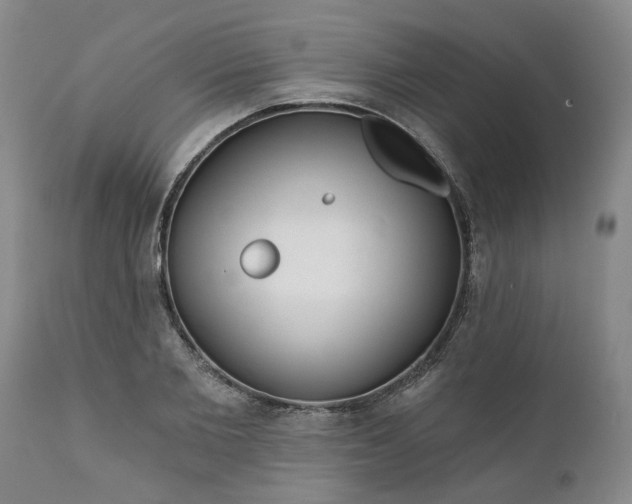 X0000111620885200907311200