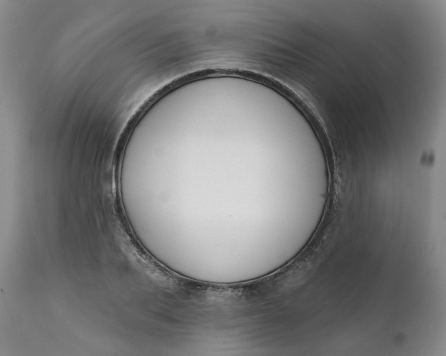 X0000111620887200907311200