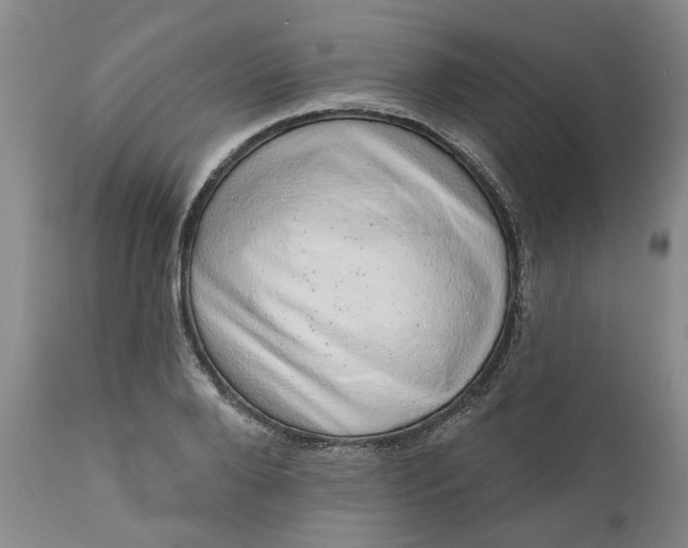 X0000111620888200907311200