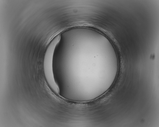 X0000111620889200907311200