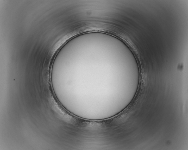 X0000111620890200907311200