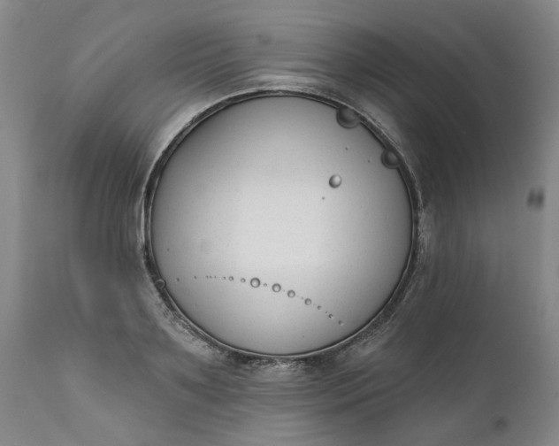 X0000111620891200907311200