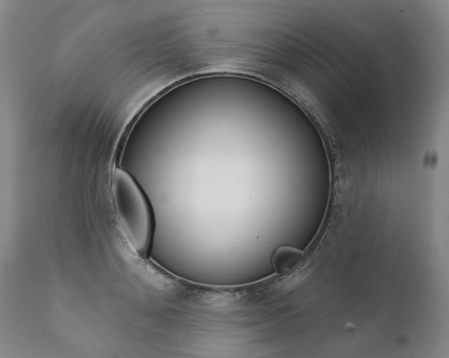 X0000111620892200907311200