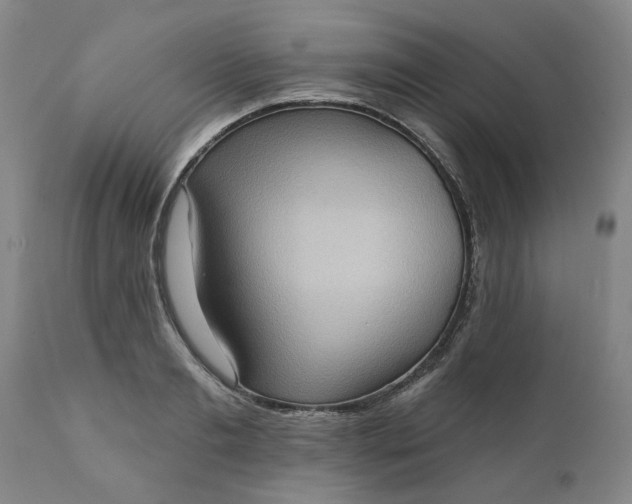 X0000111620893200907311200