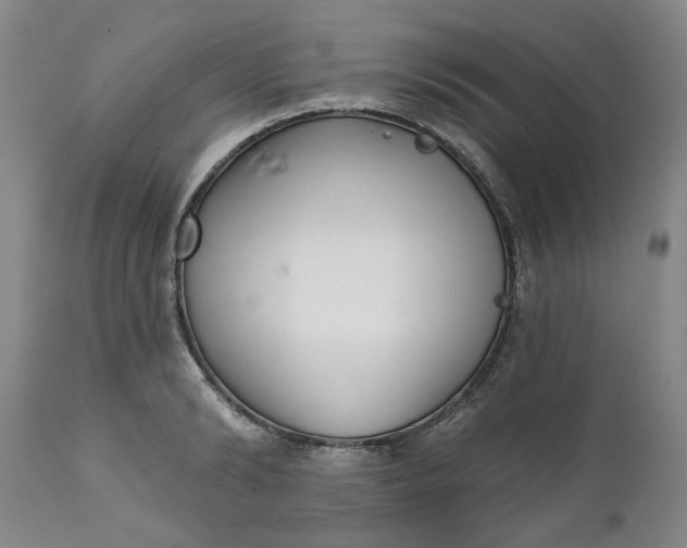 X0000111620894200907311200